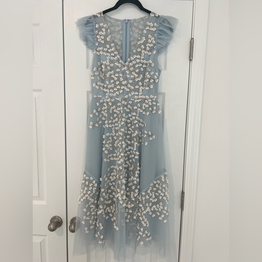 BCBG MaxAzria light blue ruffle tulle flower embroidered dress